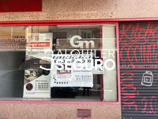 Local en Calle De Camichi, MADRID