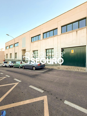 Inmueble en Calle de los Perales, MADRID