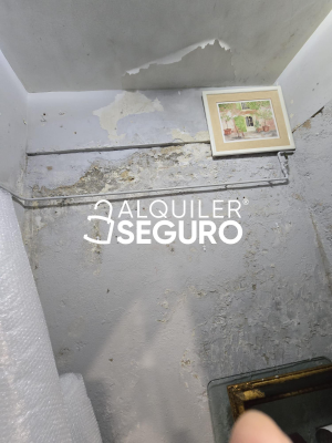 Local en Calle Maiquez, MADRID