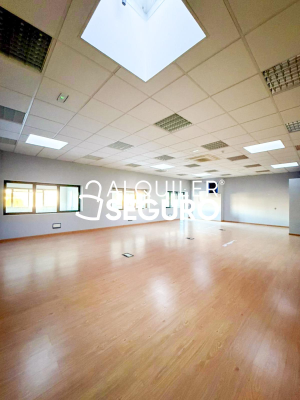 Local en Calle De los Perales, MADRID