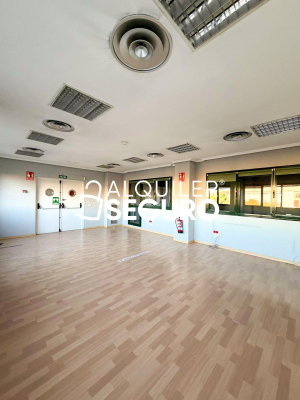 Local en Calle De los Perales, MADRID