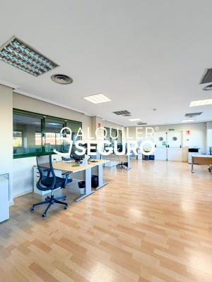 Inmueble en Calle De los Perales, MADRID